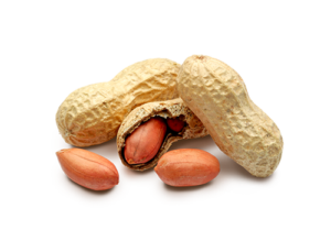 Cacahuètes en coques Brut de coques