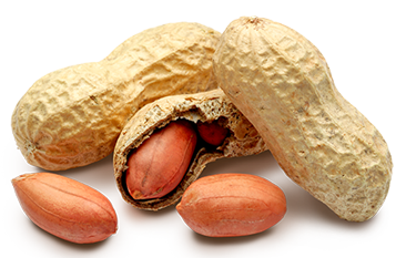 Arachides Cacahuètes décortiquées BIO